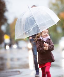 Bubble Umbrella,Transparent Bubble,8-Rib Transparent Bubble Umbrella