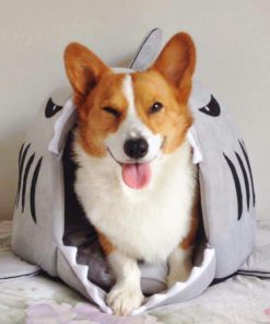 Pet Shark Bed,Shark Bed,Pet Shark,Shark Pet Bed