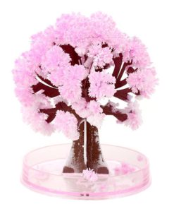 Magic Cherry Blossom,Cherry Blossom Tree,Blossom Tree,Magic Cherry Blossom Tree