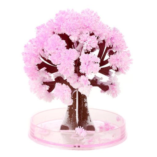 Magic Cherry Blossom,Cherry Blossom Tree,Blossom Tree,Magic Cherry Blossom Tree