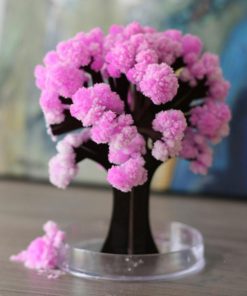 Magic Cherry Blossom,Cherry Blossom Tree,Blossom Tree,Magic Cherry Blossom Tree