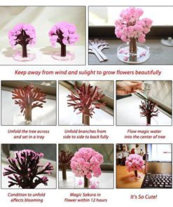 Magic Cherry Blossom,Cherry Blossom Tree,Blossom Tree,Magic Cherry Blossom Tree