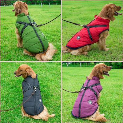 Waterproof Winter Jacket,Waterproof Winter Jacket With Built-In Harness