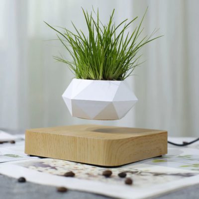 Levitating Plant,Levitating Plant Pot 