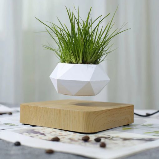 Levitating Plant,Levitating Plant Pot