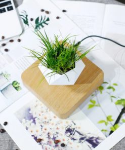 Levitating Plant,Levitating Plant Pot