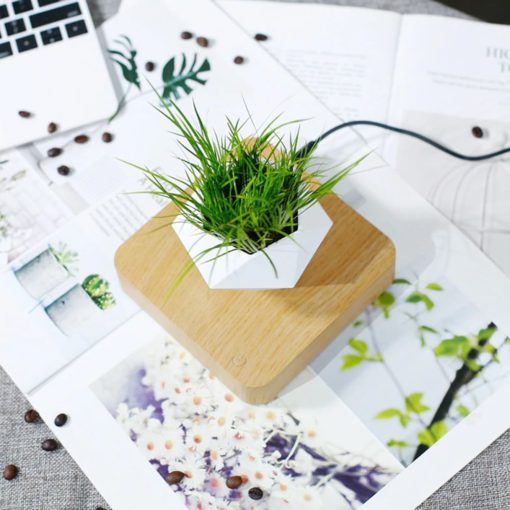 Levitating Plant,Levitating Plant Pot