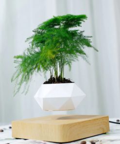 Levitating Plant,Levitating Plant Pot