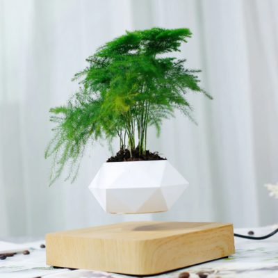 Levitating Plant,Levitating Plant Pot