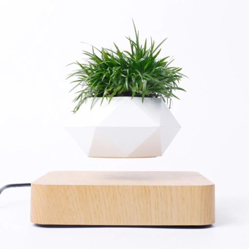 Levitating Plant,Levitating Plant Pot