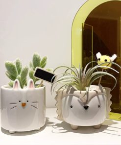 Ceramic Flower Pots