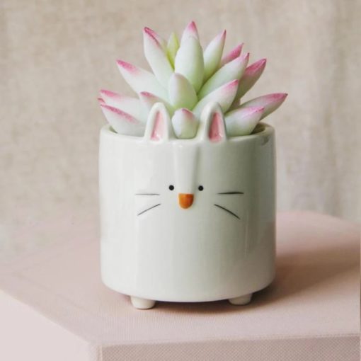 Ceramic Flower Pots