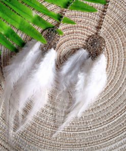 Feather Ornament,Hanging Dreamcatcher