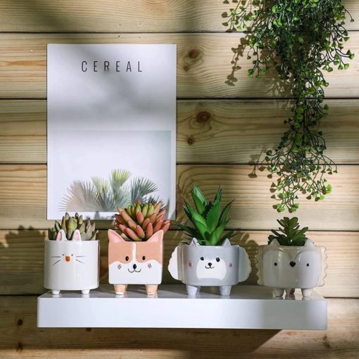 Ceramic Flower Pots