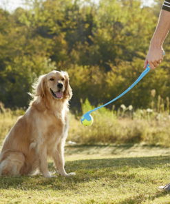 Dog Ball Launcher