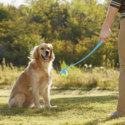 Dog Ball Launcher