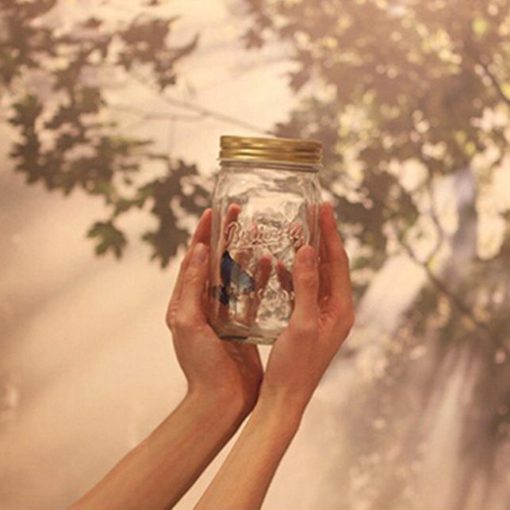 Butterfly Jar,Magic Butterfly Jar