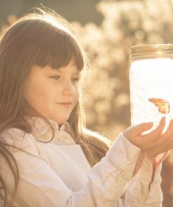 Butterfly Jar,Magic Butterfly Jar