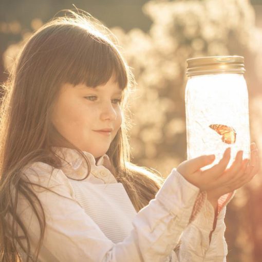 Butterfly Jar,Magic Butterfly Jar