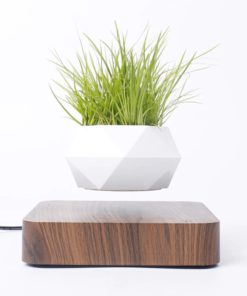 Levitating Plant,Levitating Plant Pot