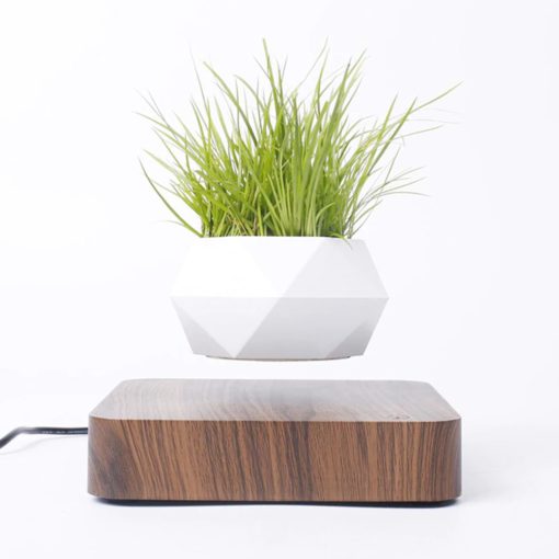 Levitating Plant,Levitating Plant Pot