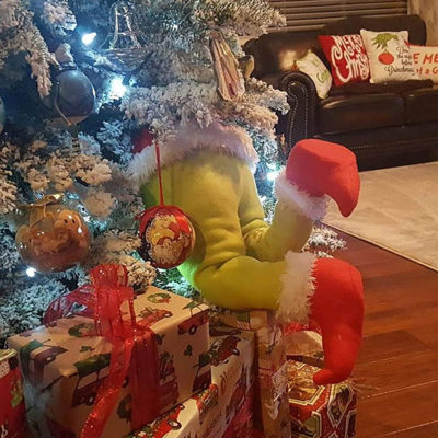 Grinch Christmas Wreath