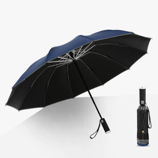 Inverted Umbrella