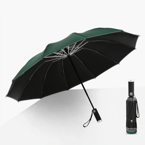 Inverted Umbrella