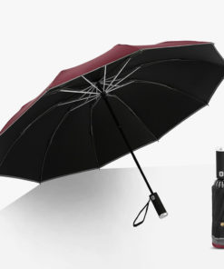 Inverted Umbrella