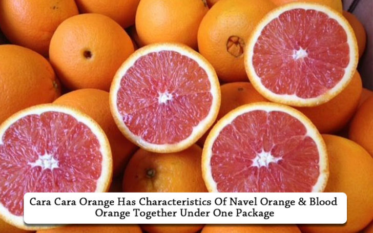 Types Of Oranges