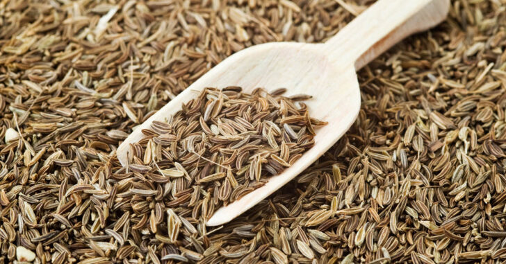 Substitute for Caraway Seeds