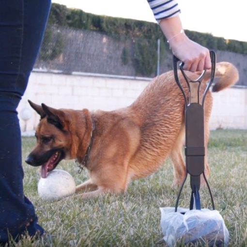 Dog Long-Handle Pooper Scooper