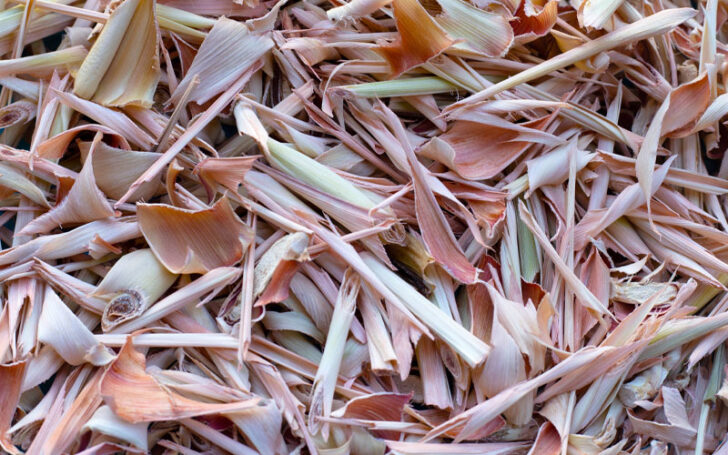 Lemongrass Substitutes