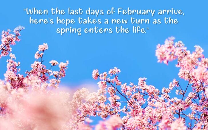 February Quotes