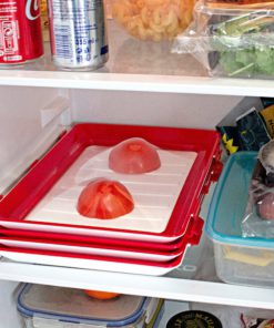 Food Preservation Tray