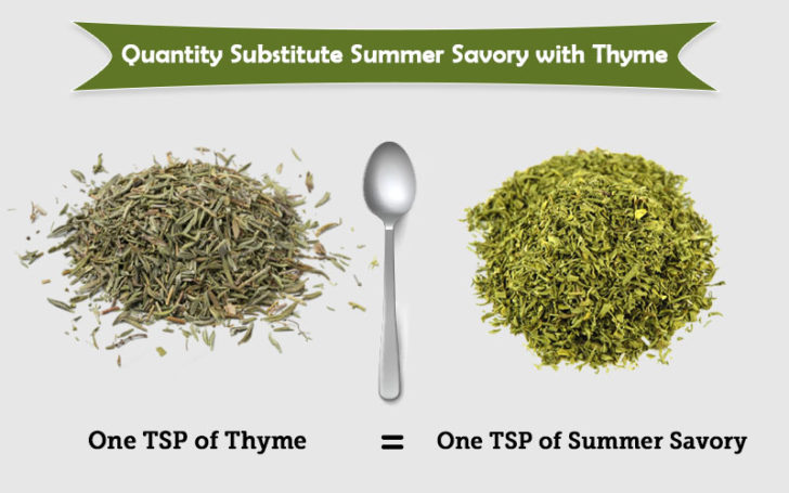 Thyme Substitute