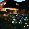 Solar Powered LED Rose Light