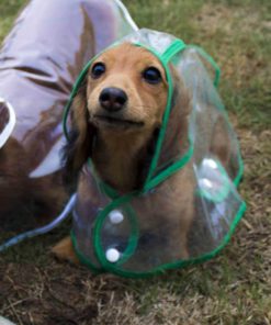 Transparent Dog Raincoat