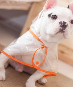 Transparent Dog Raincoat