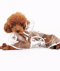 Transparent Dog Raincoat