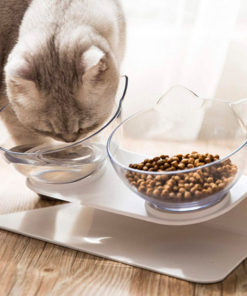 Anti Vomiting Orthopedic Cat Bowl