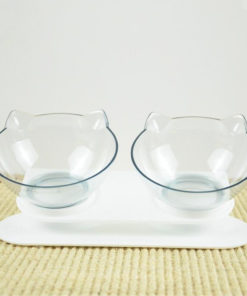 Anti Vomiting Orthopedic Cat Bowl