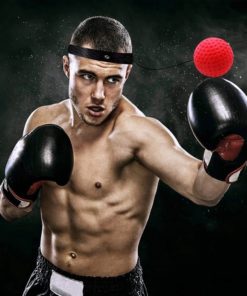 Boxing Reflex Ball Headband Set