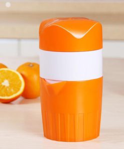 Portable Fresh Juice Bottle