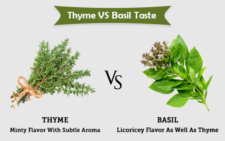 Thyme Substitute