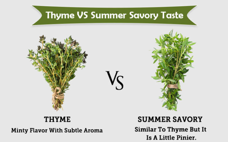 Thyme Substitute