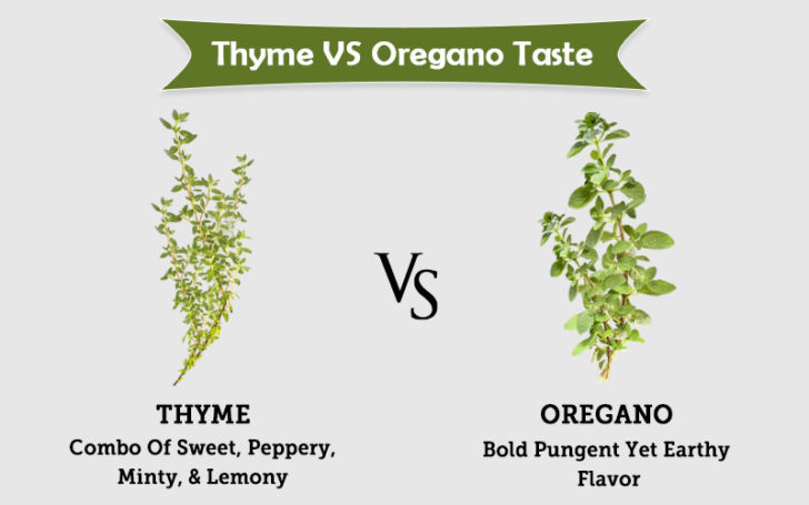 Thyme Substitute