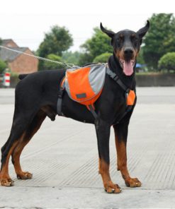 Outdoor Dog Backpack