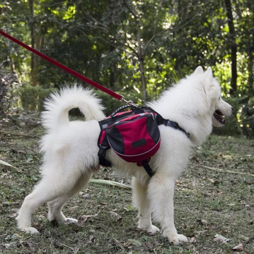 Outdoor Dog Backpack