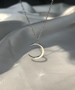 Gold & Silver Crescent Moon Necklace